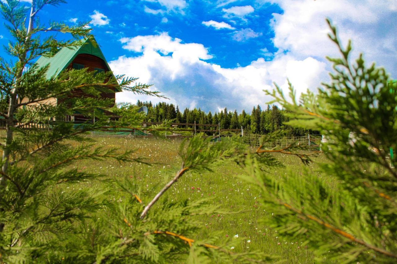 Vikendica Anja Villa Zabljak  Exterior photo
